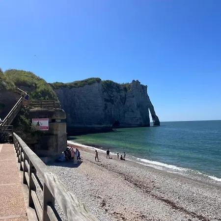 La Fleur De Seine * Villequier
